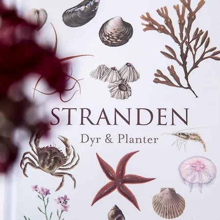 Tambohus & Hvidbjerg (Midtjylland)